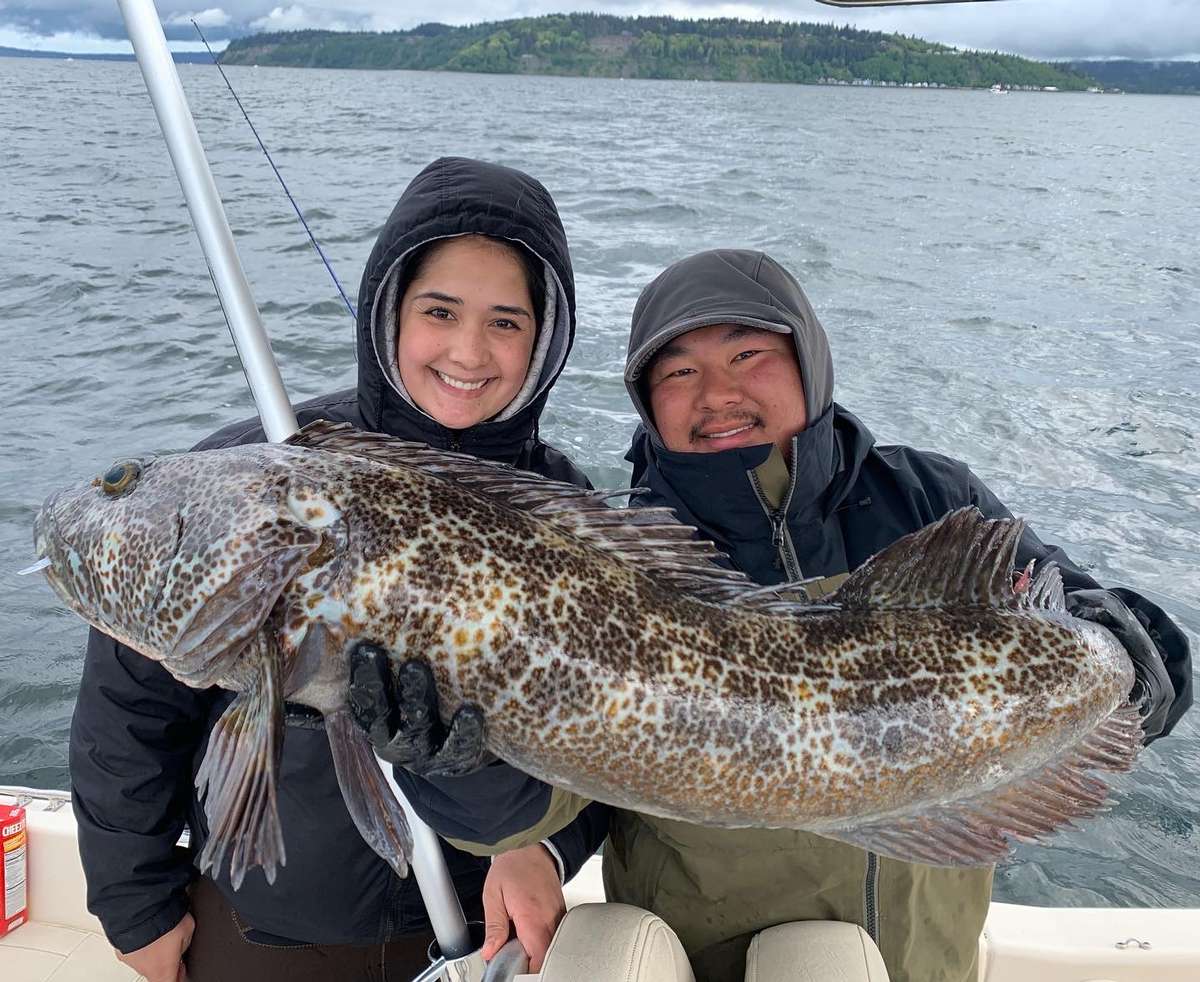Bottom Fishing Seattle Bottom Fishing Charters